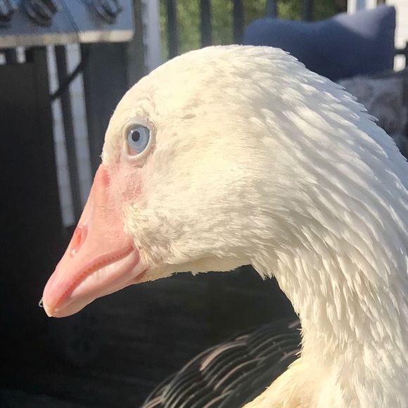 Welcome! - Picture 5 of 7